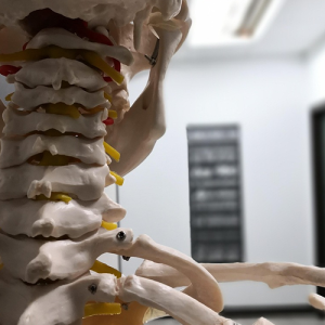 Fisioterapia musculoesquelética